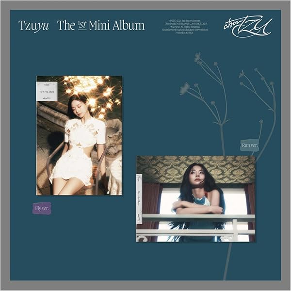 NAYEON THE 2nd MINI ALBUM レコード　ツウィ　日本未発売 NAYEON - 2nd Mini Album NA — KollecteUSA